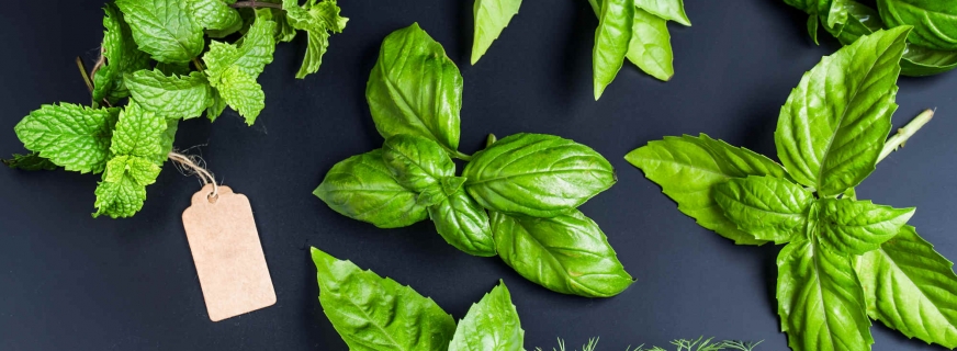 21 marzo 2018. Erbe spontanee ed aromatiche. Un menù dedicato al loro utilizzo.