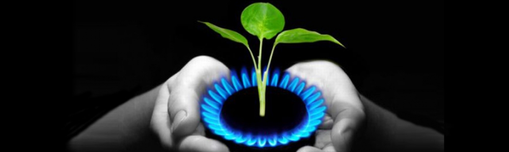 Risparmio energetico Le soluzioni proposte da Rogi per risparmiare