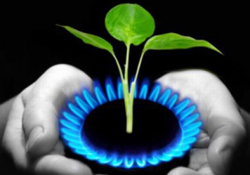 Risparmio energetico Rogi Risparmio acqua gas elettricità energia per cucina ristorante